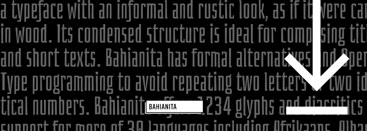 Bahianita - Slider 3